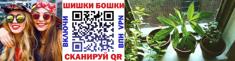 где купить наркоту  Омутнинск  Бошки Шишки семена 